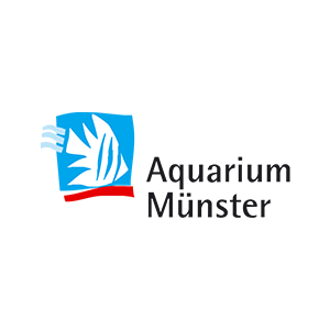 Aquarium-monster.webp