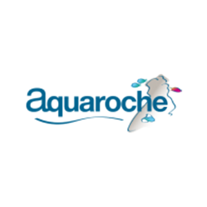 Aquaroche.webp