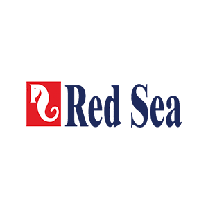 Red-Sea.webp